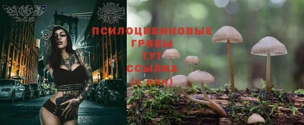 прущая мука Лиски