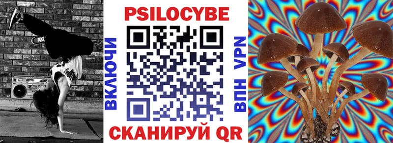Купить закладки  Новосиль  Псилоцибиновые грибы ЛСД 