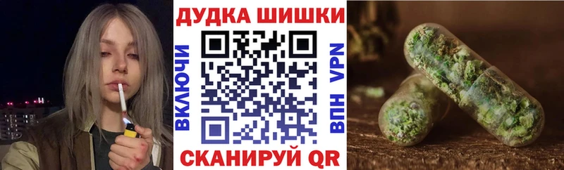 Купить закладки  Новосиль  Шишки марихуана марихуана 